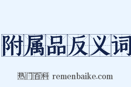 附属品反义词是什么意思的图片